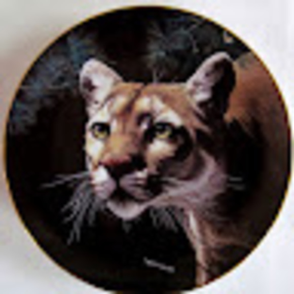 Meet your Posher, Jesus - Picture 1 of 1